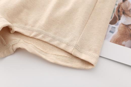 女平角内裤3条组合装（棕条/绿条） 商品图4