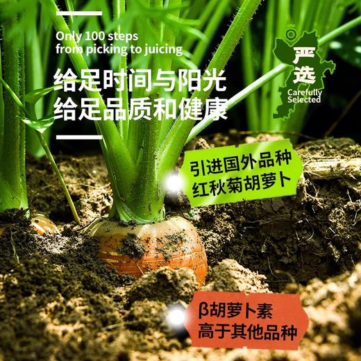 用眼多喝田野说胡萝卜汁 除了鲜榨胡萝卜什么也没有更安心更健康 商品图3