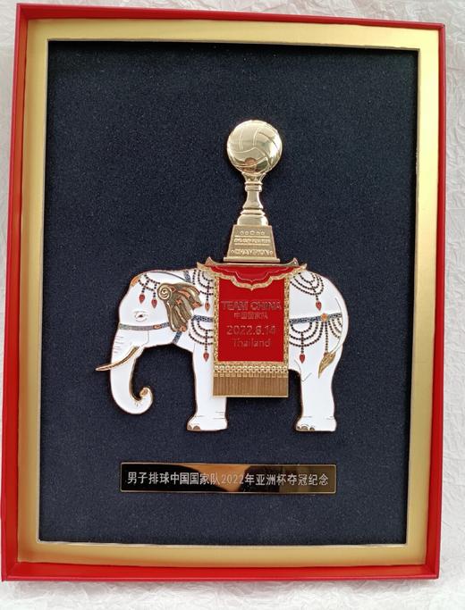 TEAM CHINA太平有象男排亚洲杯夺冠纪念章 商品图5
