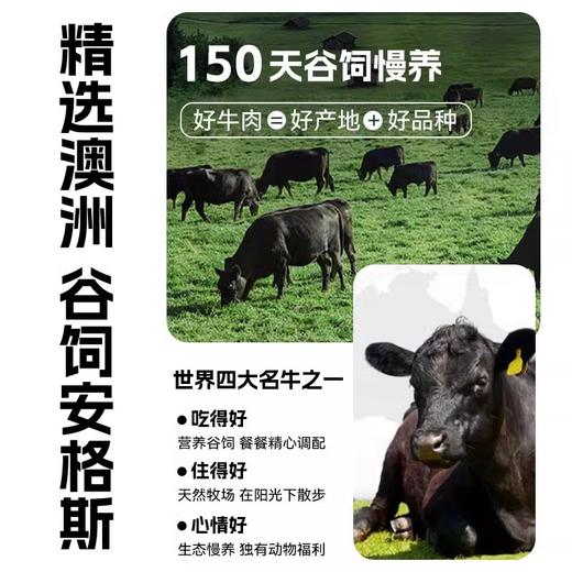 袋鼠先生安格斯牛排脆 超薄爆脆 片片奶香 除了牛肉就是盐 商品图4