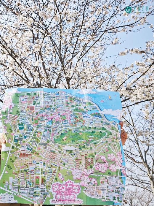 武汉大学手绘地图 商品图1