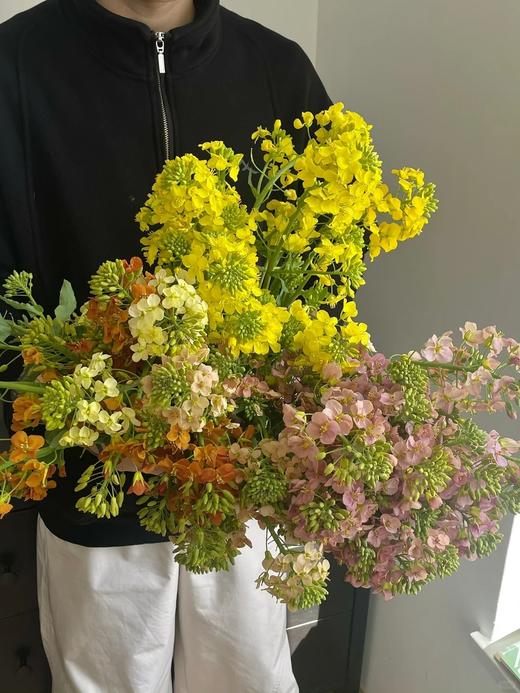 同城甄选油菜花鲜切花一扎 商品图1