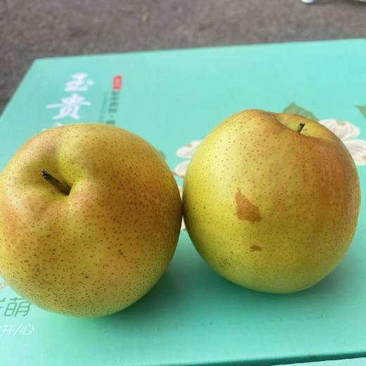隰县～玉露香梨【礼盒装8-10粒】 商品图5