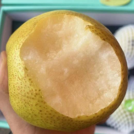 隰县～玉露香梨【礼盒装8-10粒】 商品图3