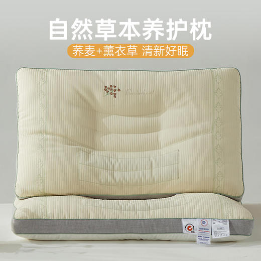自然醒自然草本荞麦养护枕头护颈椎助睡眠专用枕芯家用套装一对成人不塌陷硬整头不塌XK 商品图0