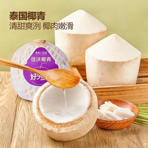 MM 山姆 泰国椰青 6粒 商品图4