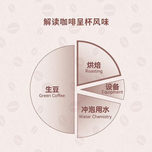 咖啡烘焙师 齐鸣  从咖啡烘焙技术从入门到进阶 商品图3