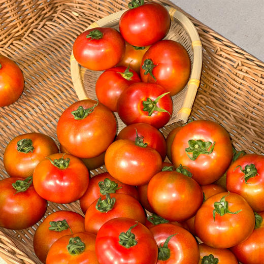 草莓番茄约4.5斤装 | 农匠坊 商品图1