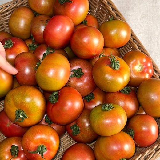 草莓番茄约4.5斤装 | 农匠坊 商品图4