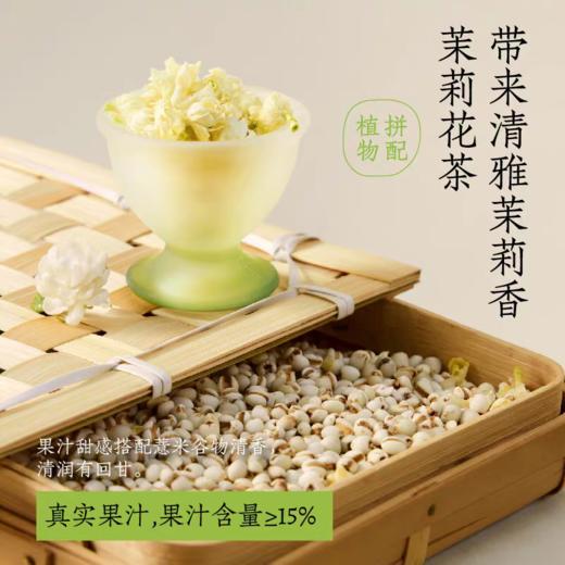 好望水薏米水500ml(茉莉香/柠檬香) 商品图3