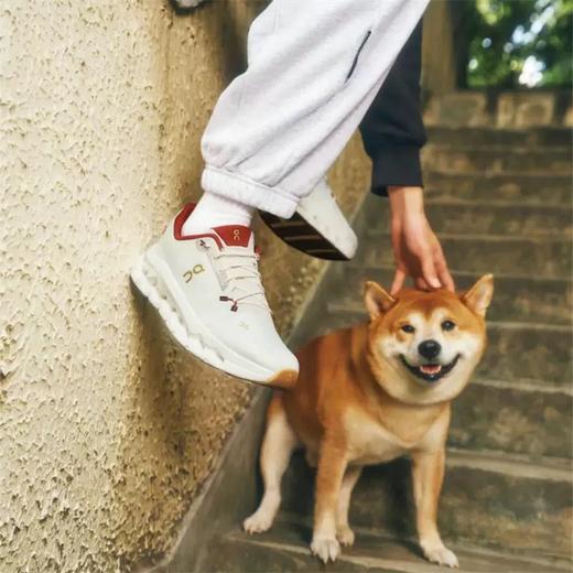 On昂跑 蛇年限定版 耐磨透气轻量休闲跑步鞋 特惠 Z-15119 商品图4