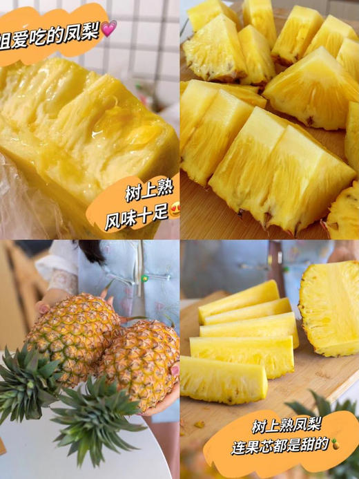 【海南金钻凤梨】 无需泡盐水不涩口不麻嘴 皮薄肉厚脆甜多汁 商品图1