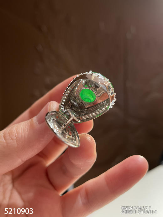 老坑艳绿如意吊坠【5210903】具体价格微信咨询 商品图7