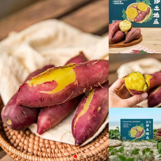海南桥头—爱马仕板栗高糖地瓜 商品图4