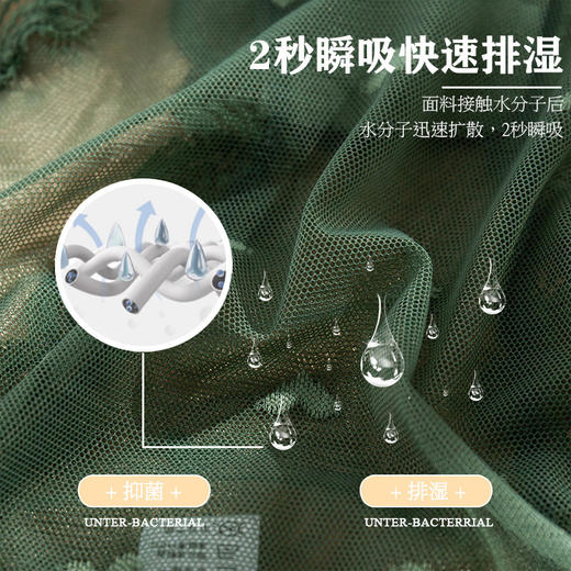 2025爆款蕾丝内裤女式性感纯棉裆透气低腰日系少女式三角内裤 商品图3