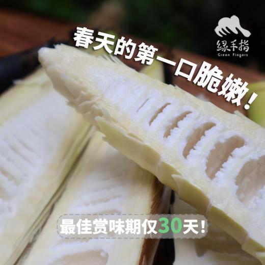 生态雷竹笋 | 合作生产* Ecological Thunder Bamboo Shoots | Coproduction 商品图1