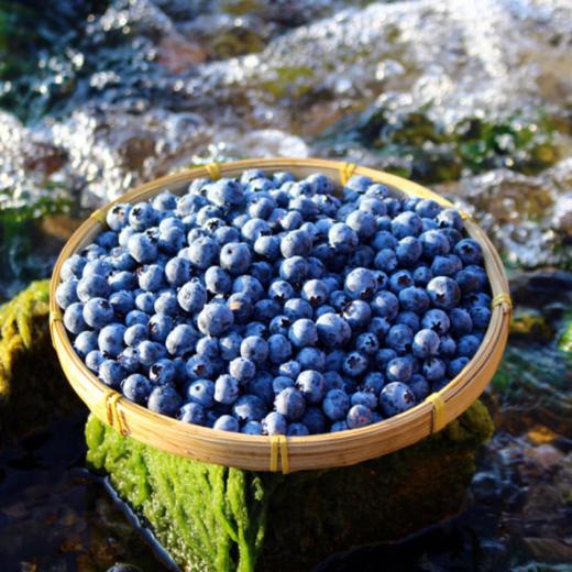 【共享鲜森有机蓝莓原浆】🌷每天一袋，✅来自贵州黔东南 地标水果 万亩生态种植 ✅颗颗细磨，满满的蓝莓味 🔥很浓稠，果肉都可以挂壁！ 商品图6