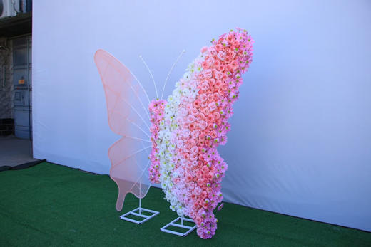 特价蝴蝶背景（运费自理） 商品图3