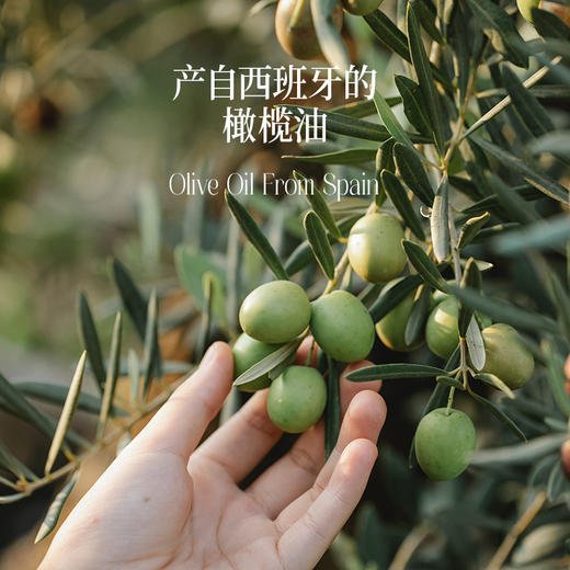 特级初榨橄榄油 | 500ml/瓶 西班牙进口 拌沙拉热炒生饮 低温冷榨一级 晟麦 商品图2