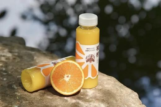 褚橙NFC鲜榨橙汁245ml纯果汁非浓缩无添加饮品橙汁12瓶 商品图1