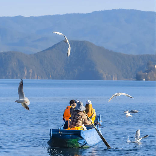 全新升级【云南爸妈乐】纯玩游康养之旅 一价全含 昆明+大理+丽江6天5晚 商品图1