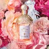 Guerlain/娇兰香水花草水语娇嫩玫瑰柑橘罗勒圆舞榴光淡香75ml  多颜色选择【香港直邮】 商品缩略图4