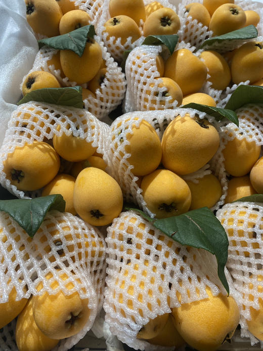 宏丰精选 云南蒙自枇杷，枇杷味浓郁，带点微酸，活动价19.8元一斤 商品图4