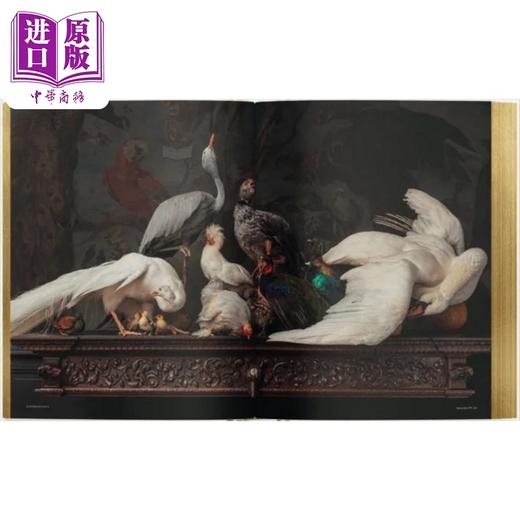 【中商原版】Packshots 进口艺术 精美野生动物标本艺术品 商品图1