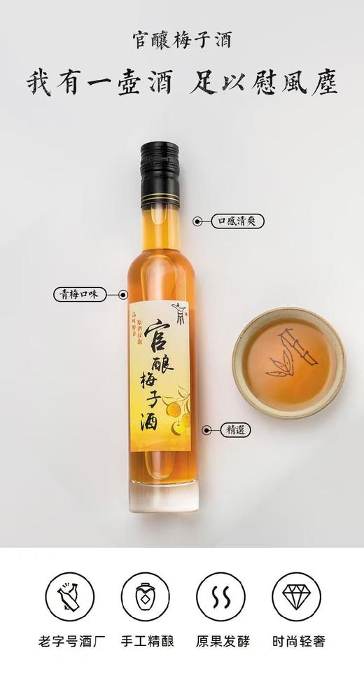 海仪官酿2年官酿梅子酒22度 商品图0