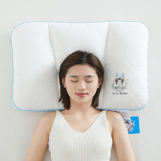 自然醒A类全棉太空兔安睡枕芯夏季护颈椎助睡眠枕头舒适家用单人整头一对XK 商品图1
