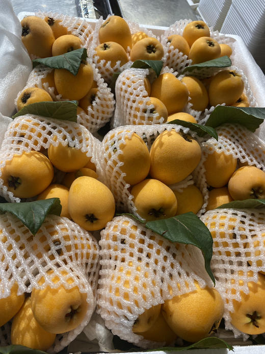 宏丰精选 云南蒙自枇杷，枇杷味浓郁，带点微酸，活动价19.8元一斤 商品图8