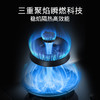 西门子（SIEMENS）5.2kw嵌入式大火力燃气灶 三重聚焰 瞬时升温 230°宽幅旋钮 炉头易拆洗 意外熄火保护 ER95A3MBMP 商品缩略图2