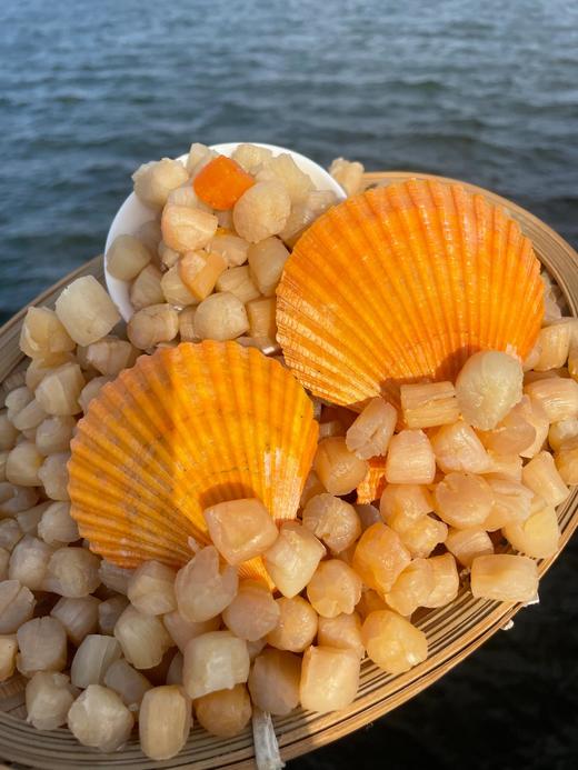 & 招牌干贝-来自大海的馈赠，粒粒饱满厚实，煲汤，熬粥下几颗自然增鲜😍 商品图0