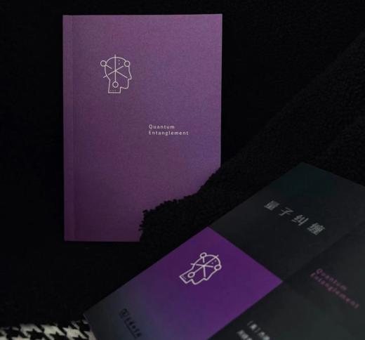 量子纠缠  [美]杰德·布罗迪 著  周晓青 译（交界译丛） 商务印书馆 商品图2