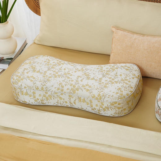 金枝玉叶系列曲线枕头护颈椎助睡眠专用荞麦皮成人睡觉家用单人 商品图0