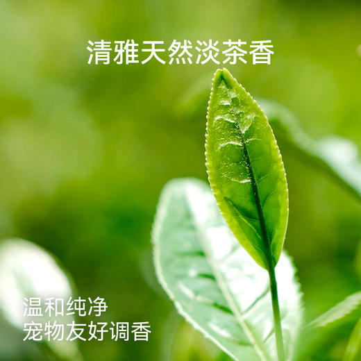 福丸绿茶味豆腐猫砂 2.5kg*4整箱_dr 商品图4