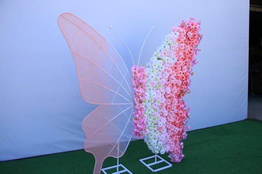 特价蝴蝶背景（运费自理） 商品图2