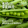 云南有机带皮豌豆（基地直发-顺丰包邮）| 3斤/件，来自云南昆明，生产者：李建平【合作生产，公平贸易】 商品缩略图0
