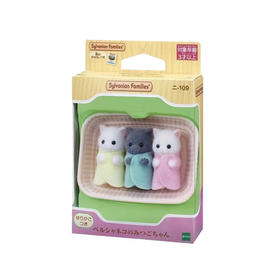 森贝儿 波斯猫三胞胎SYFC5458