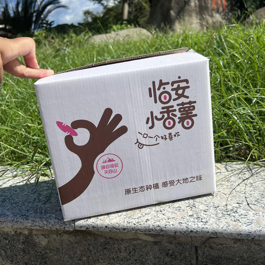 临安天目山小香薯  香、甜、粉、无筋、黄肉的 隔水蒸特好吃 商品图3