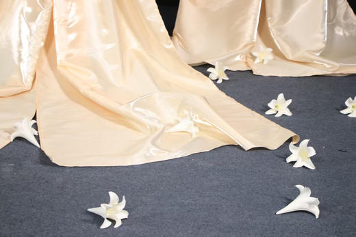 布艺蝴蝶（运费自理） 商品图2