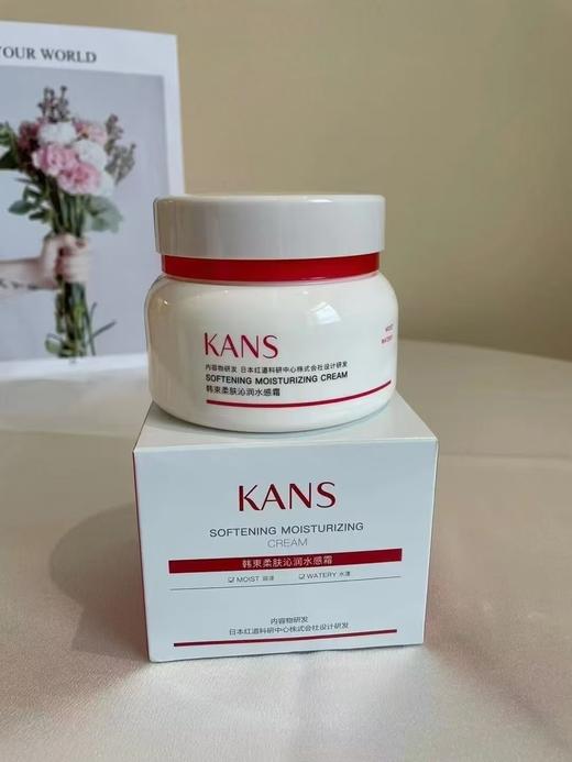 韩束柔肤沁润水感霜 125g 商品图0