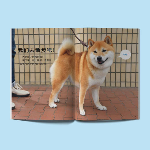 《好喜欢科学：好喜欢的大自然》（全11册） 商品图2