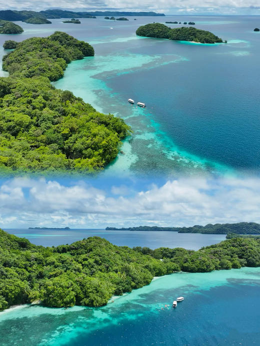 【海底奇观】 2025年5月3日- 5月8日 | 上帝的水族箱●帕劳 潜水/考证/度假6天5晚 商品图1