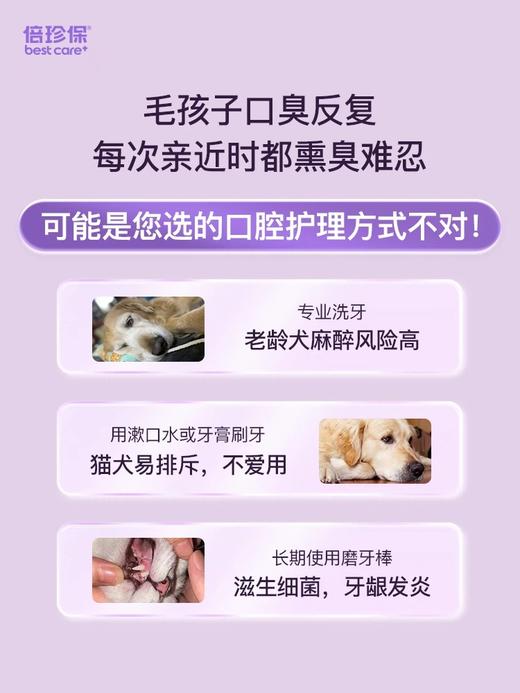 优宠亲（颗粒） 商品图5