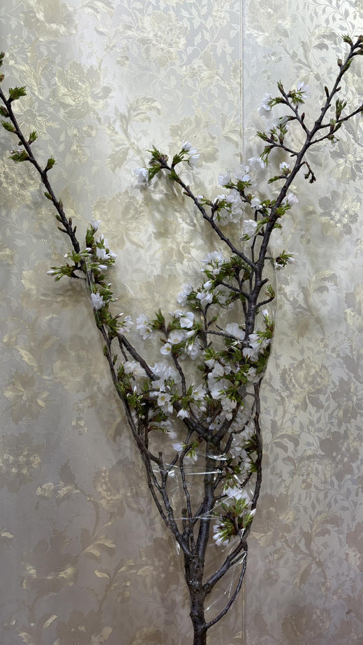 【开花特惠】 国产樱花  白色  约2-3枝/扎 商品图14