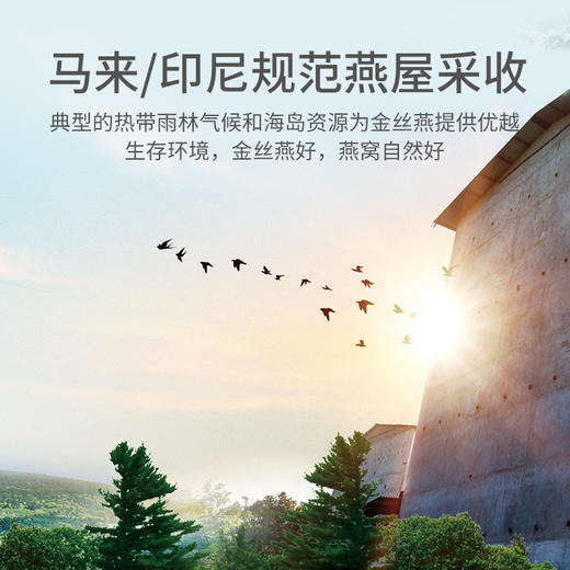 方家铺子燕窝干盏大燕条10g 马来西亚溯源燕条 商品图2