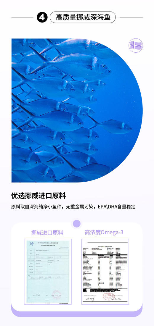 益生菌乳化鱼油 商品图10