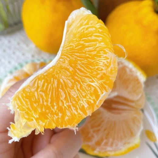【斌哥优选 】柠檬不知火，100项0农残。一瓣一脆，爆珠口感，拥有柠檬香气的橘子。不是纯甜口感，vc含量高，果皮可泡水。四川限定应季食物。 商品图3