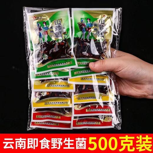 【一起尝一口云南山野珍鲜~】云南特产即食鸡枞菌 松茸菌牛肝菌小包装 香菇菌菇零食下饭菜-QQ 商品图2